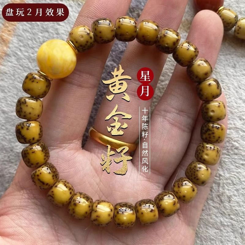 High Density Golden Seed Star  - Bead Bracelet Men ulasan dan harga